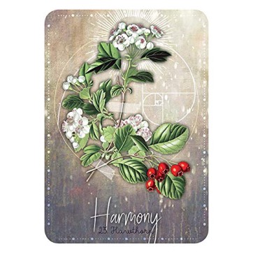 Cartes Oracle Magickal Herb Cartes Oracle Magickal Herb