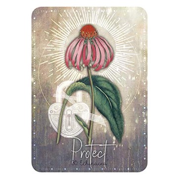 Cartes Oracle Magickal Herb Cartes Oracle Magickal Herb