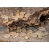 Quartz Crystal Point Rune Set Quartz Crystal Point Rune Set