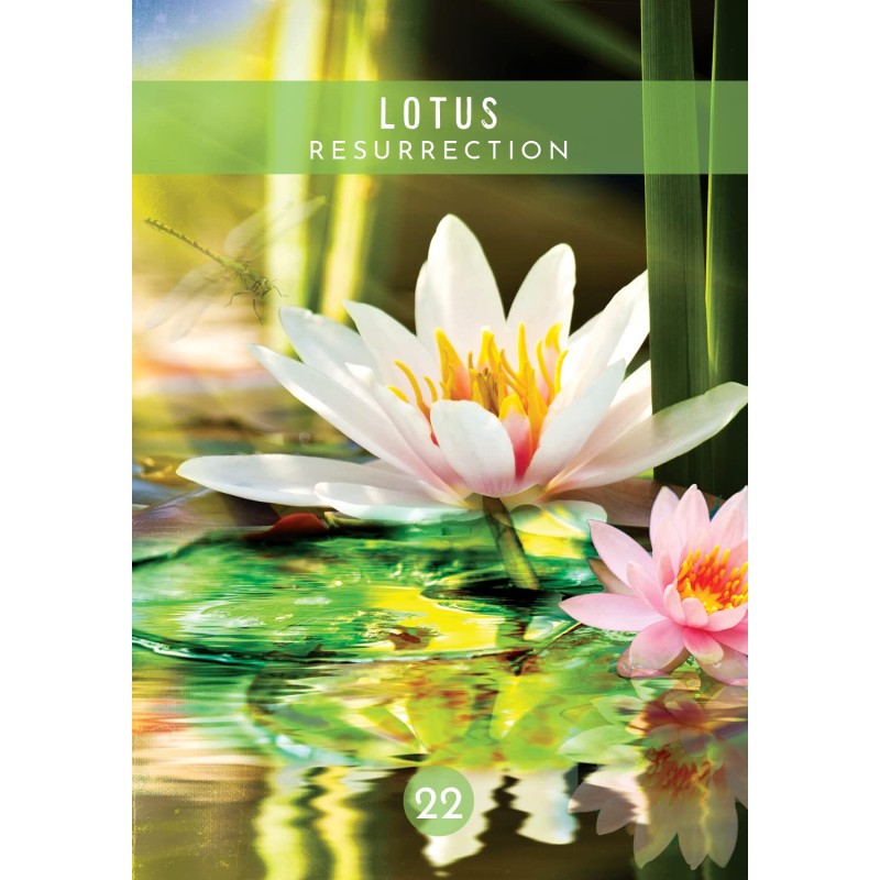 Messages from the Spirits of Nature Oracle - Steven D Farmer Messages from the Spirits of Nature Oracle - Steven D Farmer
