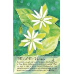Soulflower Plant Spirit Oracle - Lisa Estabrook