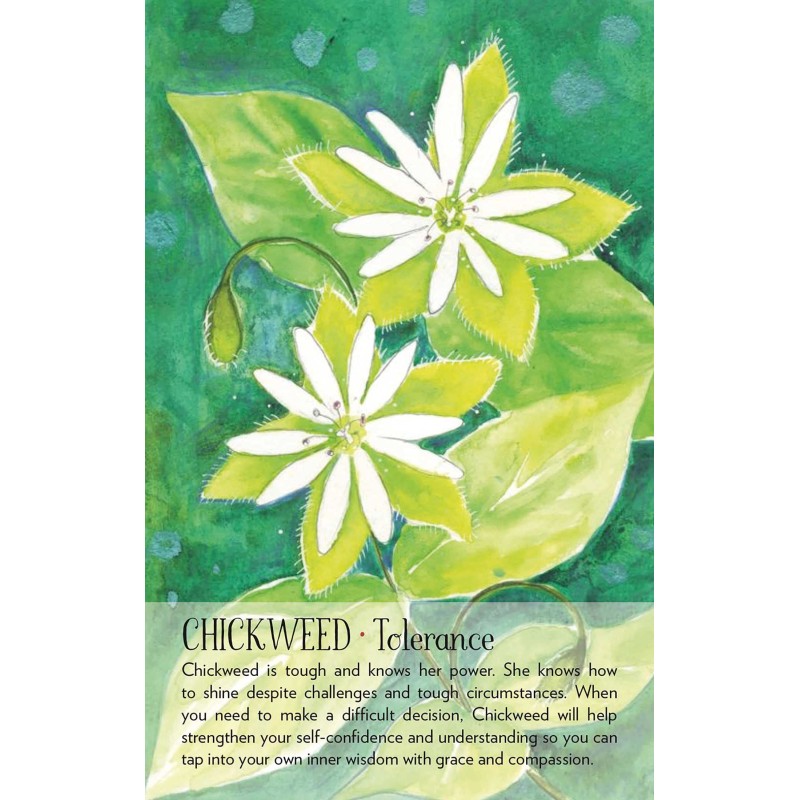 Oracle de l’esprit de la plante Soulflower - Lisa Estabrook Oracle de l’esprit de la plante Soulflower - Lisa Estabrook