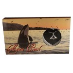 Wish Pearl Necklace Set - Orca