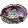 Green Abalone Shell, 4.5 Green Abalone Shell, 4.5