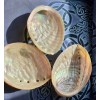 Coquille d’ormeau perlée Coquille d’ormeau perlée