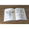 Livre de coloriage Summer Nights Livre de coloriage Summer Nights