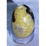 Septarian Egg, A
