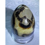 Septarian Egg, A