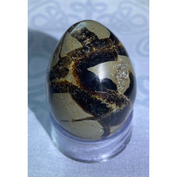 Septarian Egg, B
