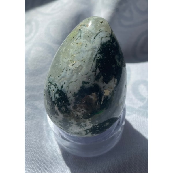 Tree Agate Egg, A