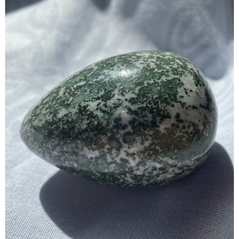 Tree Agate Egg, B Tree Agate Egg, B