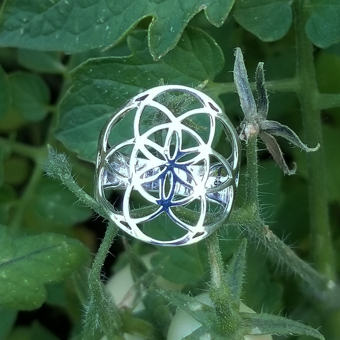 Bague Seed Of Life, Sterling Bague Seed Of Life, Sterling