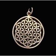 Flower Of Life Pendant, Sterling, Lg
