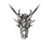 Dragon Skull Pendant and Chain Dragon Skull Pendant and Chain
