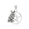 Cat Pentacle Pendant, Sterling, Moonstone Cat Pentacle Pendant, Sterling, Moonstone