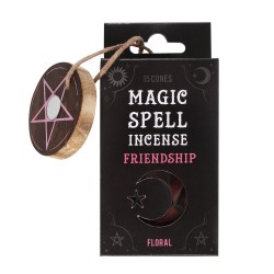 Magic Spell Cone Incense: Friendship