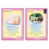 Huiles essentielles et pierres précieuses Cartes de gardiens - Margaret Ann Lembo Huiles essentielles et pierres précieuses Cartes de gardiens - Margaret Ann Lembo