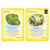 Huiles essentielles et pierres précieuses Cartes de gardiens - Margaret Ann Lembo Huiles essentielles et pierres précieuses Cartes de gardiens - Margaret Ann Lembo