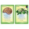 Huiles essentielles et pierres précieuses Cartes de gardiens - Margaret Ann Lembo Huiles essentielles et pierres précieuses Cartes de gardiens - Margaret Ann Lembo