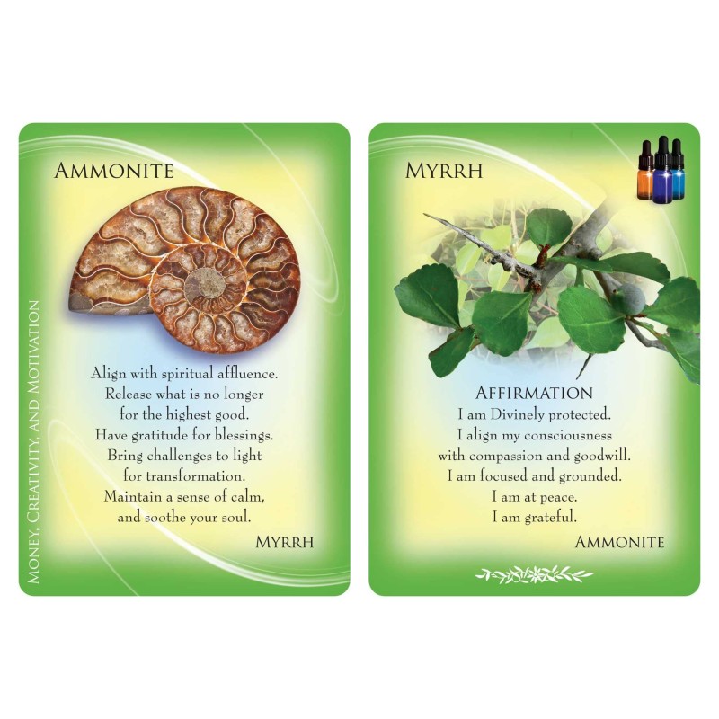 Huiles essentielles et pierres précieuses Cartes de gardiens - Margaret Ann Lembo Huiles essentielles et pierres précieuses Cartes de gardiens - Margaret Ann Lembo
