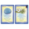 Huiles essentielles et pierres précieuses Cartes de gardiens - Margaret Ann Lembo Huiles essentielles et pierres précieuses Cartes de gardiens - Margaret Ann Lembo