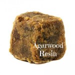 Agarwood Amber Soft Resin Incense