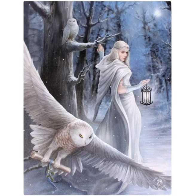 Midnight Messenger - Impression sur toile - Anne Stokes Midnight Messenger - Impression sur toile - Anne Stokes