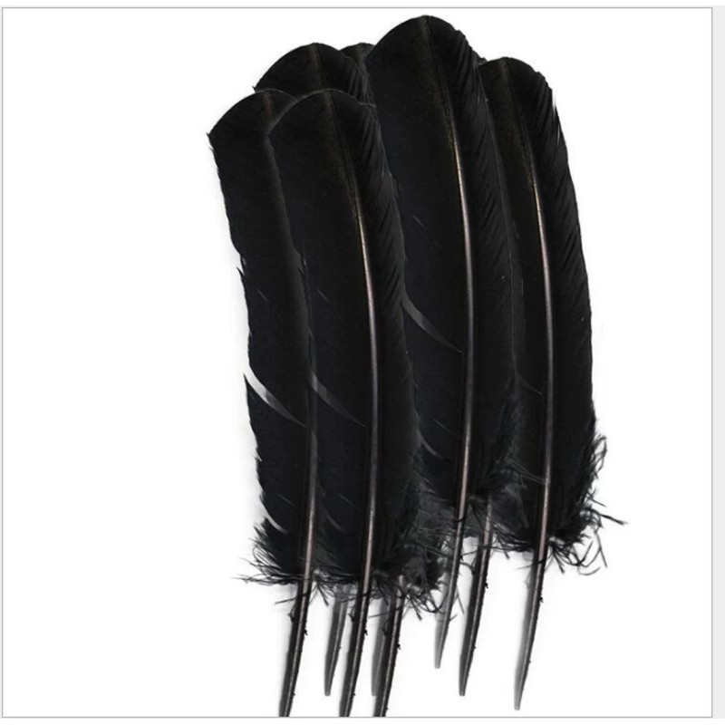 Plumes, diverses couleurs Plumes, diverses couleurs