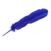 Plumes, diverses couleurs Plumes, diverses couleurs
