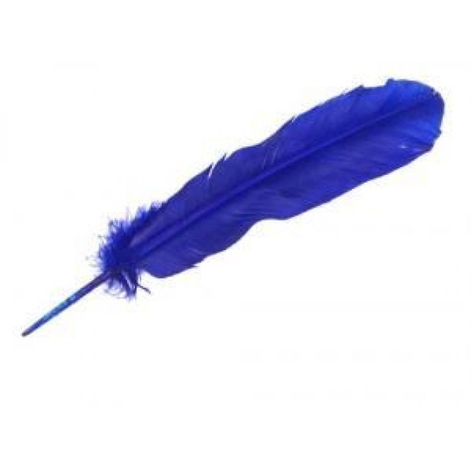 Plumes, diverses couleurs Plumes, diverses couleurs