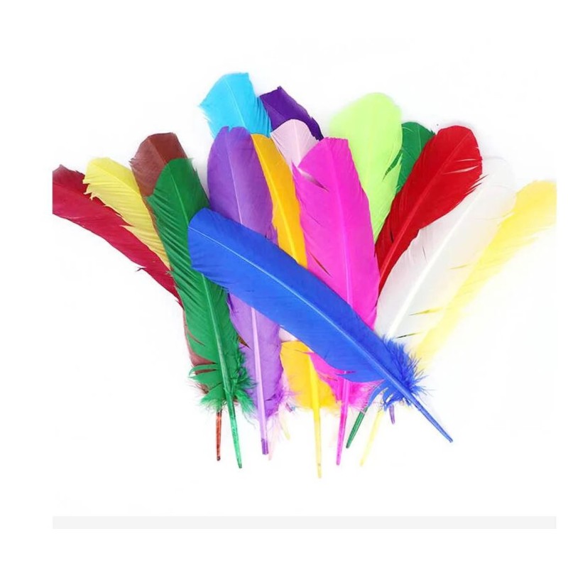 Plumes, diverses couleurs Plumes, diverses couleurs