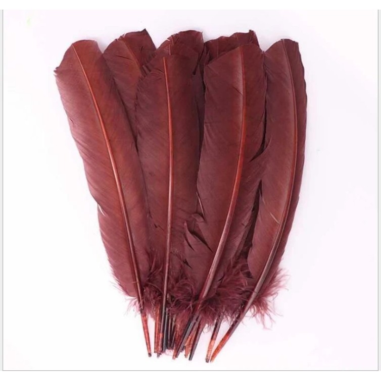 Plumes, diverses couleurs Plumes, diverses couleurs