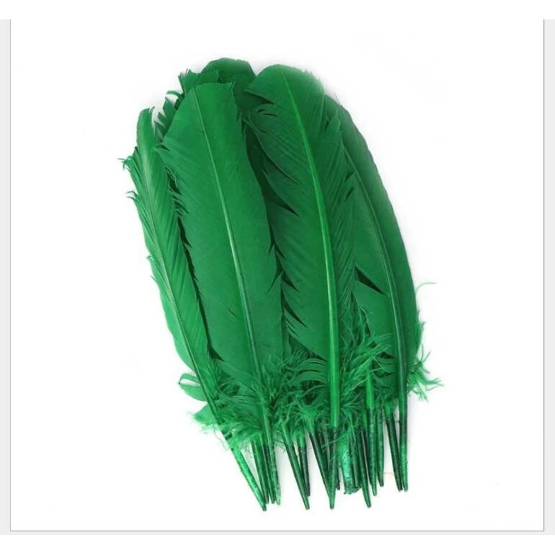 Plumes, diverses couleurs Plumes, diverses couleurs