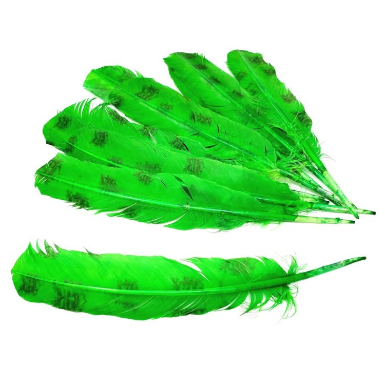 Decorative Feather: Greenman Decorative Feather: Greenman