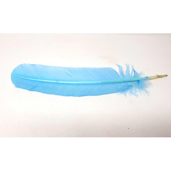 Plumes, diverses couleurs Plumes, diverses couleurs