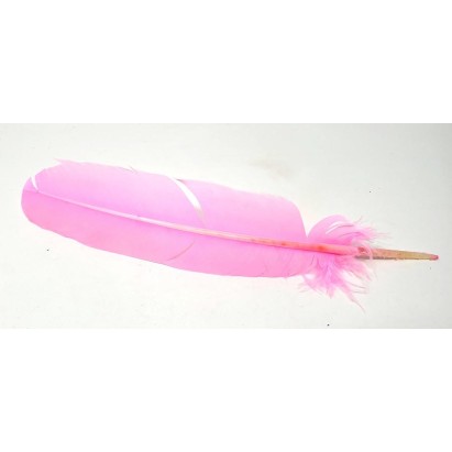 Plumes, diverses couleurs Plumes, diverses couleurs