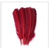 Plumes, diverses couleurs Plumes, diverses couleurs