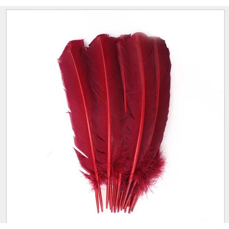 Plumes, diverses couleurs Plumes, diverses couleurs