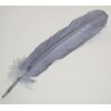 Plumes, diverses couleurs Plumes, diverses couleurs