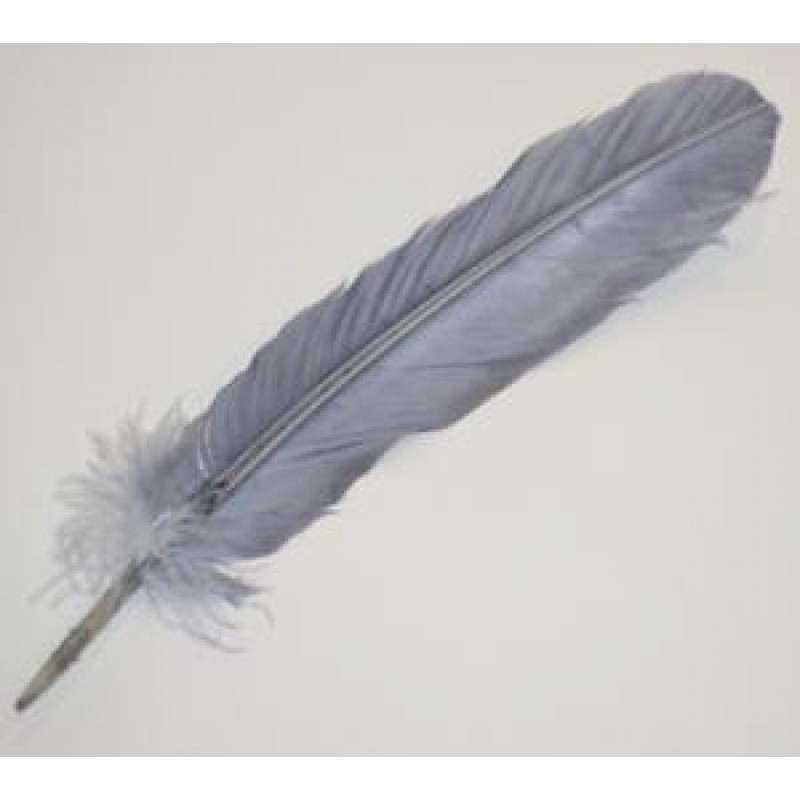 Plumes, diverses couleurs Plumes, diverses couleurs
