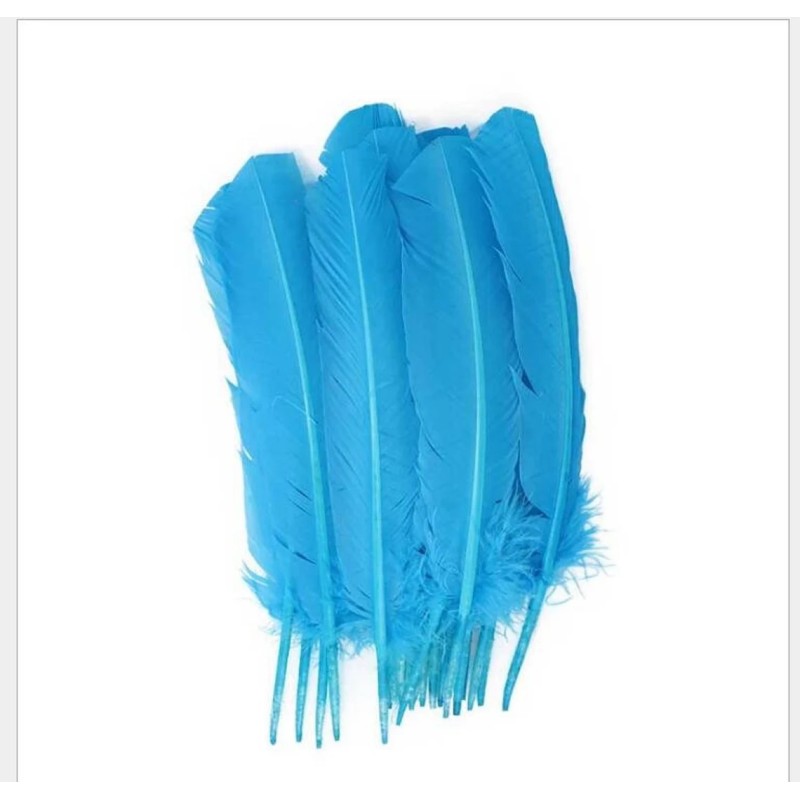 Plumes, diverses couleurs Plumes, diverses couleurs
