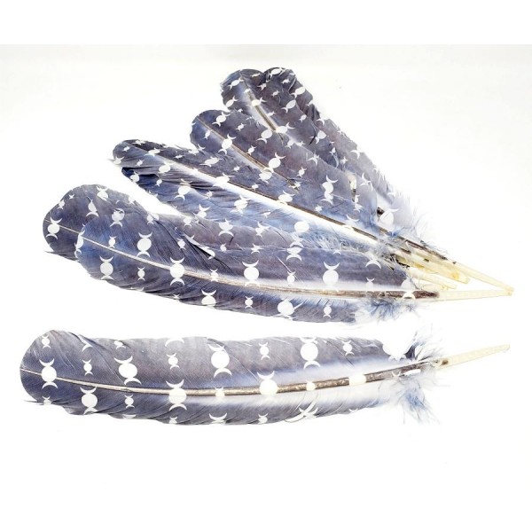 Decorative Feather: Triple Moon