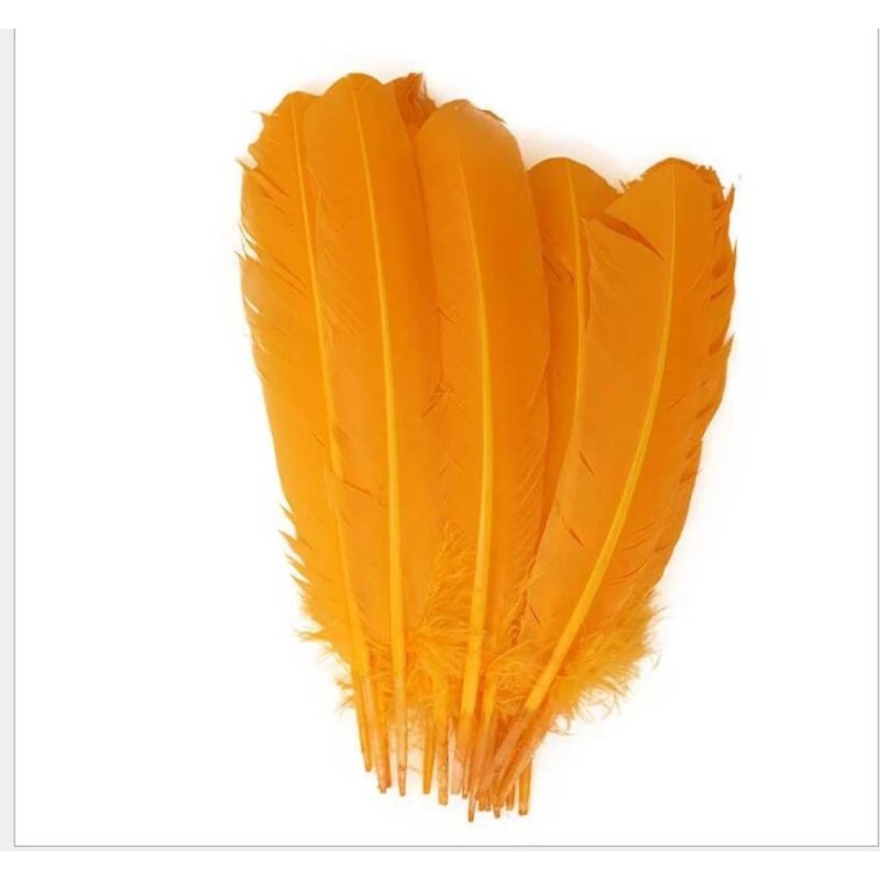 Plumes, diverses couleurs Plumes, diverses couleurs