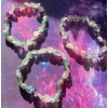 Fluorite Chip Stone Bracelet