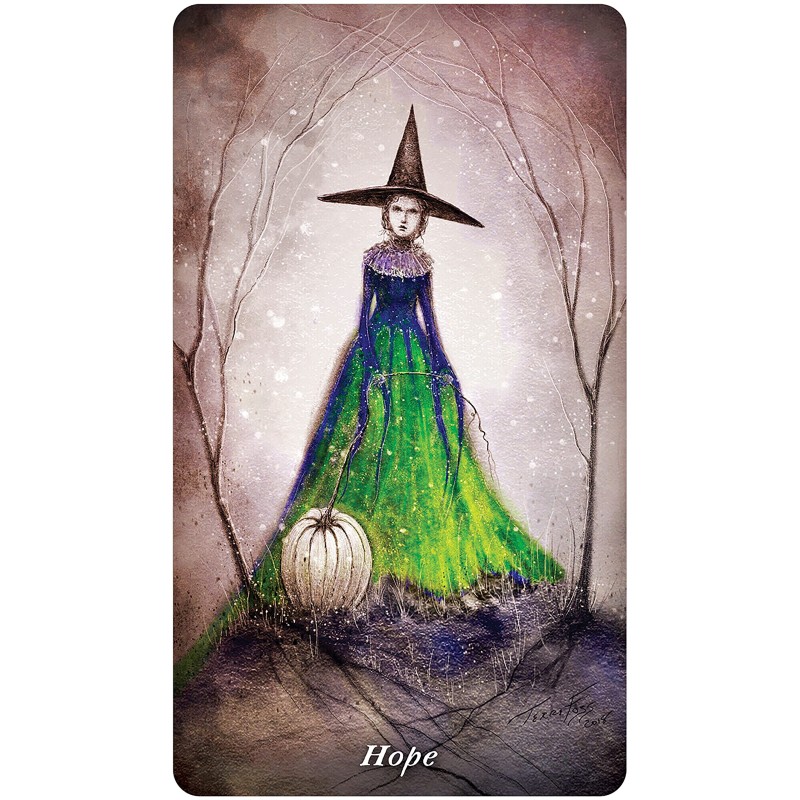Earthly Souls & Spirits Moon Oracle - Terri Foss Earthly Souls & Spirits Moon Oracle - Terri Foss