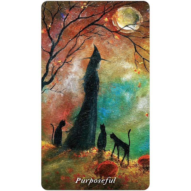 Earthly Souls & Spirits Moon Oracle - Terri Foss Earthly Souls & Spirits Moon Oracle - Terri Foss