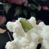 Moldavite Specimen D ~ Spiritual Transformation Moldavite Specimen D ~ Spiritual Transformation