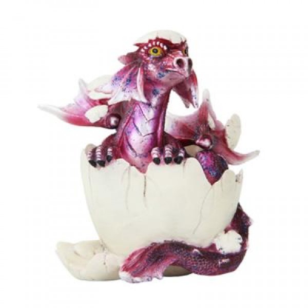 Hatchling Purple Dragon