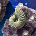 Ammonite irisée spécimen B