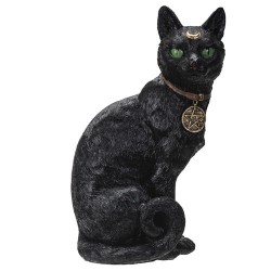 Chat noir sorcier